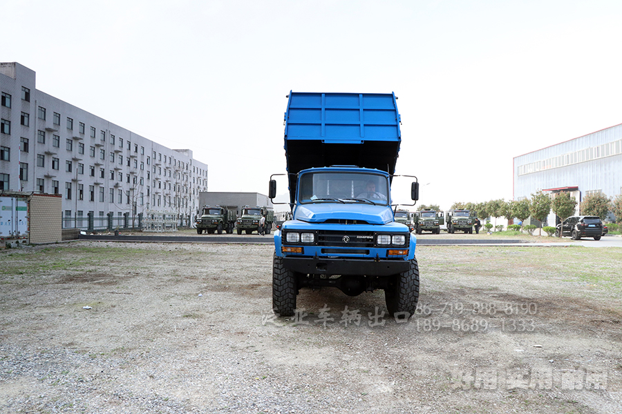 <strong>怎么选购东风6X6六驱EQ2100自卸越野车，在选购和提车时应该注意什么问题</strong>